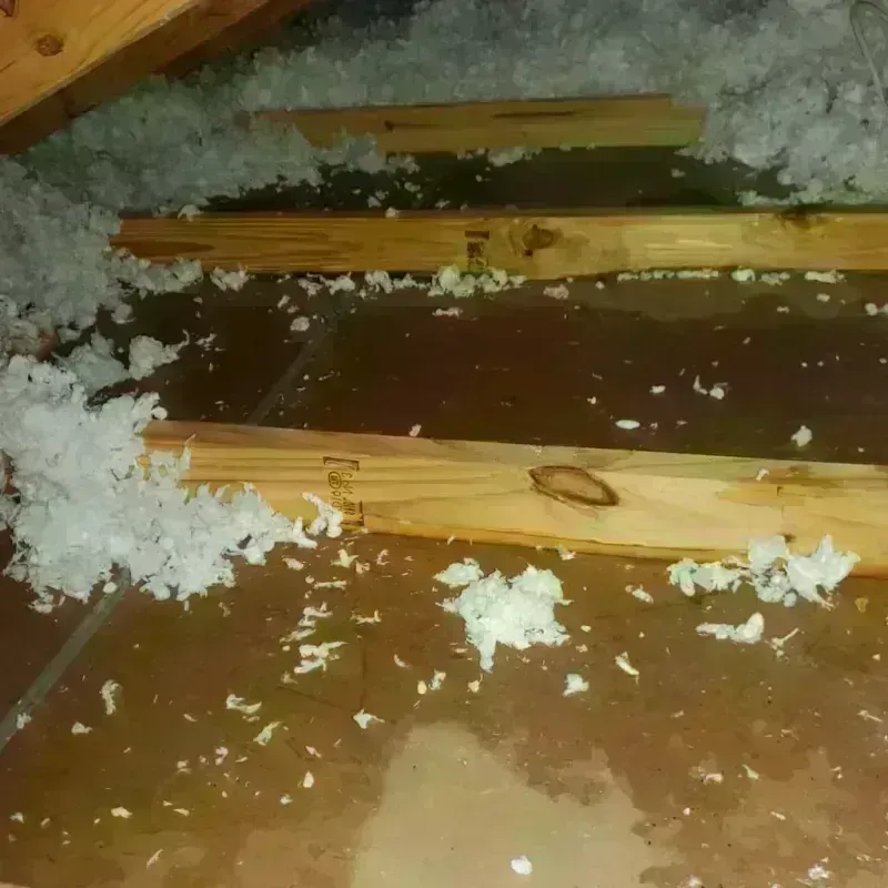 Attic Water Damage in Jackson, CA