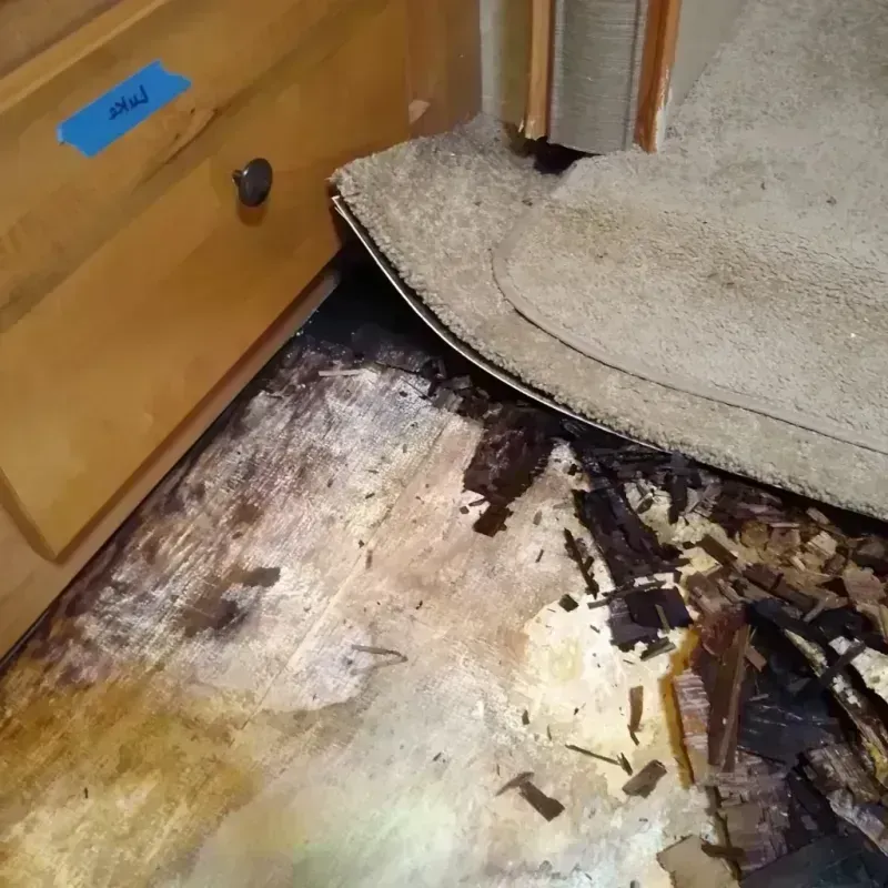 Wood Floor Water Damage in Jackson, CA